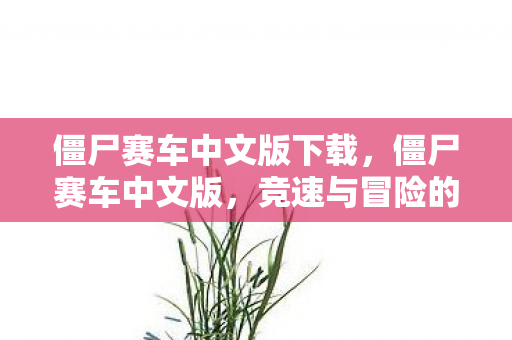 僵尸赛车中文版下载，僵尸赛车中文版，竞速与冒险的极致体验