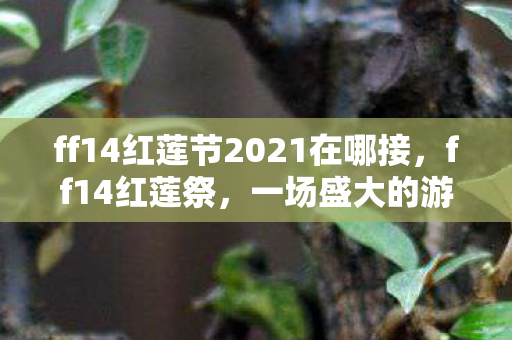 ff14红莲节2021在哪接，ff14红莲祭，一场盛大的游戏庆典