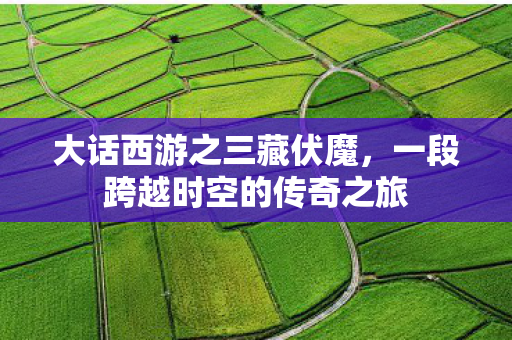 大话西游之三藏伏魔，一段跨越时空的传奇之旅