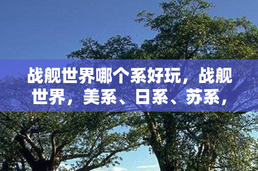 战舰世界哪个系好玩，战舰世界，美系、日系、苏系，哪个系更好？