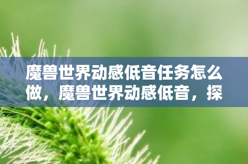 魔兽世界动感低音任务怎么做，魔兽世界动感低音，探索音乐与游戏的完美融合