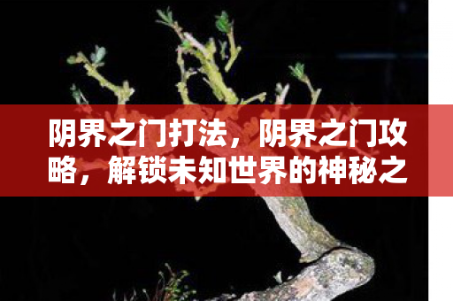 阴界之门打法，阴界之门攻略，解锁未知世界的神秘之旅