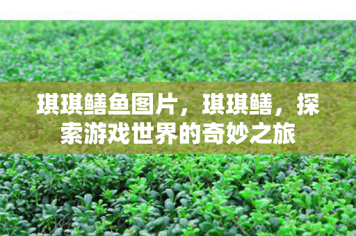 琪琪鳝鱼图片，琪琪鳝，探索游戏世界的奇妙之旅
