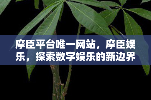 摩臣平台唯一网站，摩臣娱乐，探索数字娱乐的新边界