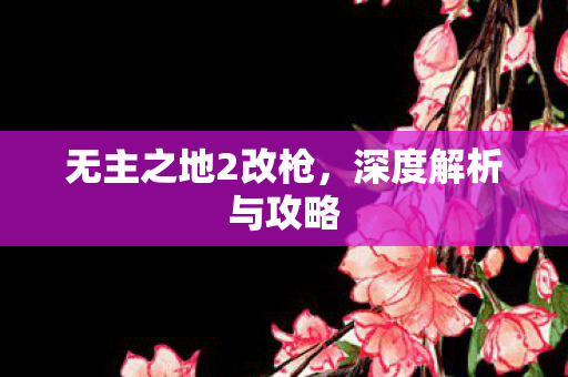 无主之地2改枪，深度解析与攻略