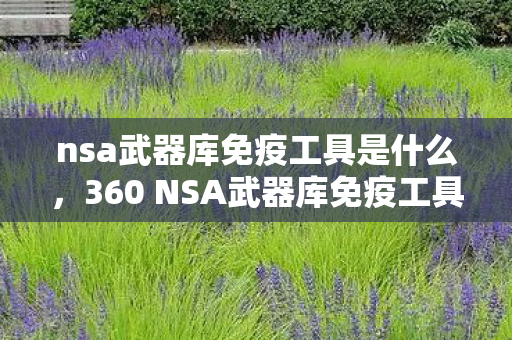 nsa武器库免疫工具是什么，360 NSA武器库免疫工具下载，守护网络安全的重要利器