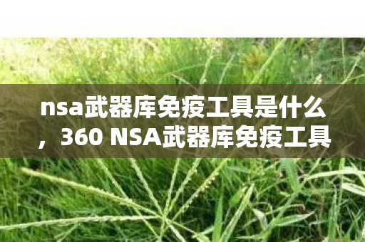 nsa武器库免疫工具是什么，360 NSA武器库免疫工具，守护数字安全的强大武器