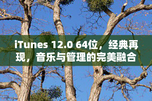 iTunes 12.0 64位，经典再现，音乐与管理的完美融合