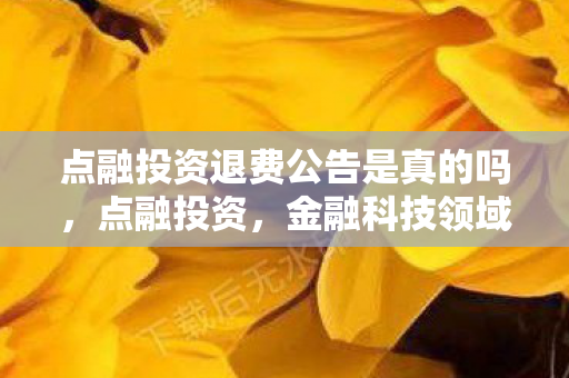 点融投资退费公告是真的吗，点融投资，金融科技领域的创新先锋