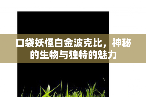 口袋妖怪白金波克比，神秘的生物与独特的魅力
