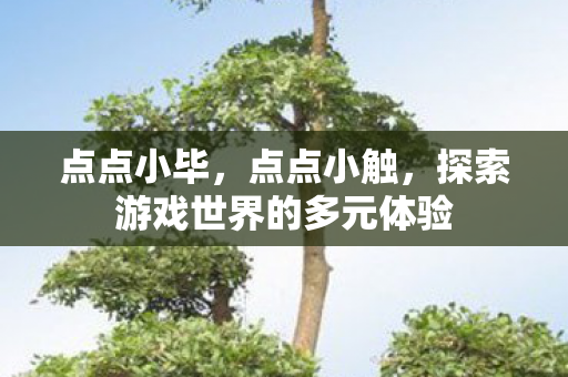 点点小毕，点点小触，探索游戏世界的多元体验
