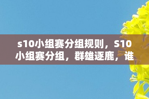 s10小组赛分组规则，S10小组赛分组，群雄逐鹿，谁将脱颖而出？