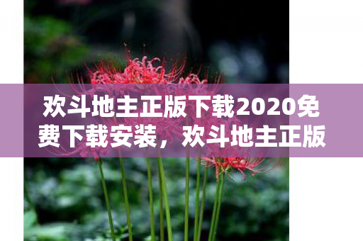 欢斗地主正版下载2020免费下载安装，欢斗地主正版下载2020免费下载，畅享经典，无需付费！