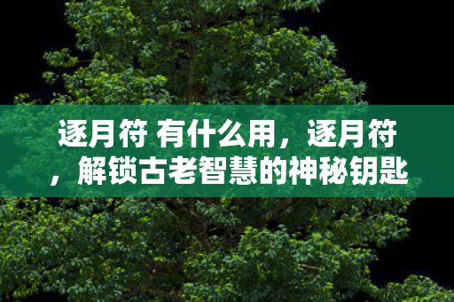 逐月符 有什么用，逐月符，解锁古老智慧的神秘钥匙