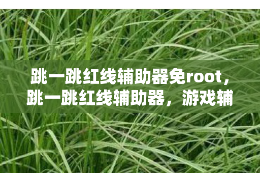 跳一跳红线辅助器免root，跳一跳红线辅助器，游戏辅助工具的正确使用与合规性探讨
