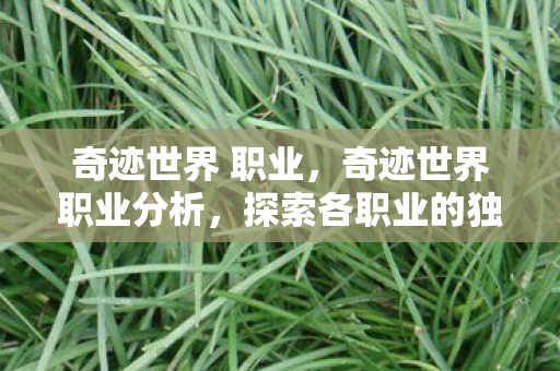 奇迹世界 职业，奇迹世界职业分析，探索各职业的独特魅力与策略
