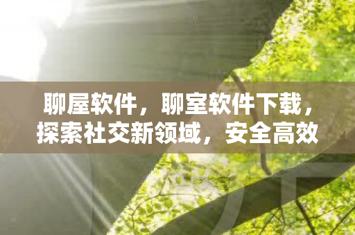聊屋软件，聊室软件下载，探索社交新领域，安全高效连接你我