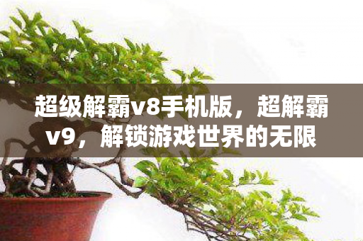 超级解霸v8手机版，超解霸v9，解锁游戏世界的无限可能