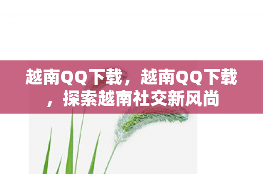 越南QQ下载，越南QQ下载，探索越南社交新风尚