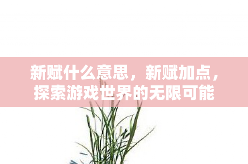 新赋什么意思，新赋加点，探索游戏世界的无限可能