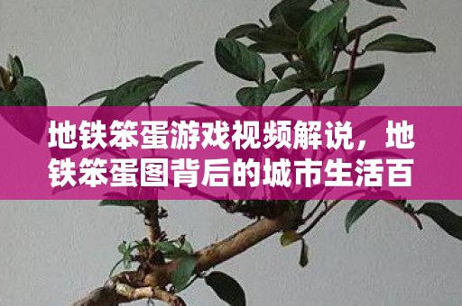 地铁笨蛋游戏视频解说，地铁笨蛋图背后的城市生活百态