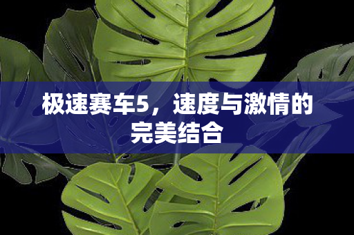 极速赛车5，速度与激情的完美结合