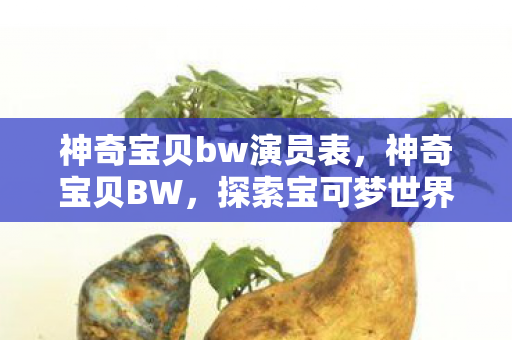 神奇宝贝bw演员表，神奇宝贝BW，探索宝可梦世界的奇妙之旅