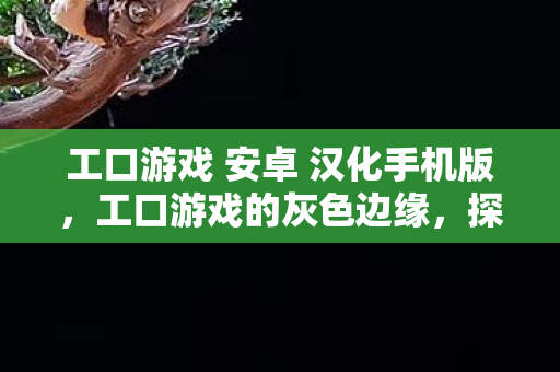 工口游戏 安卓 汉化手机版，工口游戏的灰色边缘，探索其背后的文化现象与影响