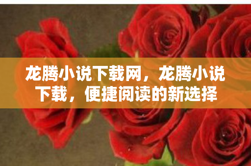 龙腾小说下载网，龙腾小说下载，便捷阅读的新选择