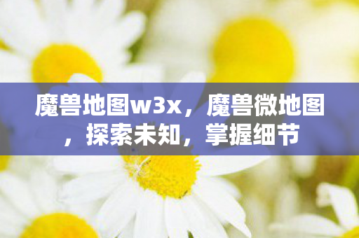 魔兽地图w3x，魔兽微地图，探索未知，掌握细节