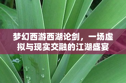 梦幻西游西湖论剑，一场虚拟与现实交融的江湖盛宴