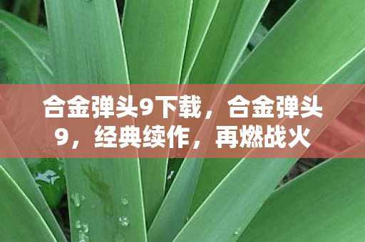 合金弹头9下载，合金弹头9，经典续作，再燃战火