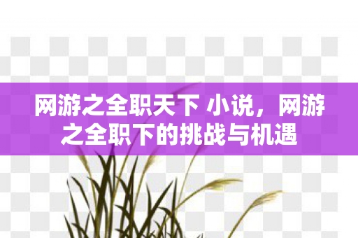 网游之全职天下 小说，网游之全职下的挑战与机遇