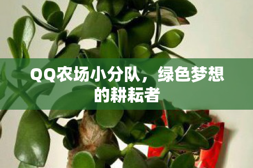 QQ农场小分队，绿色梦想的耕耘者
