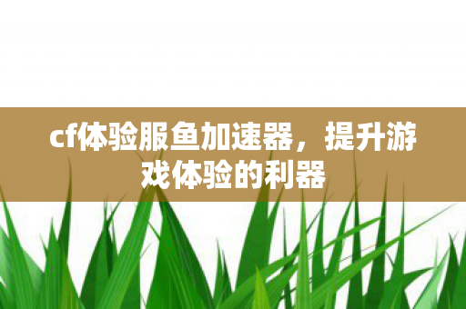 cf体验服鱼加速器，提升游戏体验的利器