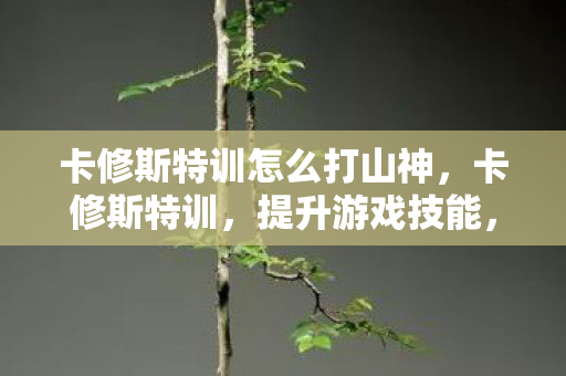 卡修斯特训怎么打山神，卡修斯特训，提升游戏技能，塑造卓越玩家