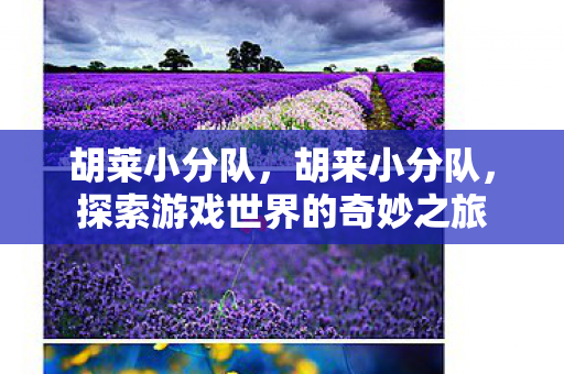 胡莱小分队，胡来小分队，探索游戏世界的奇妙之旅