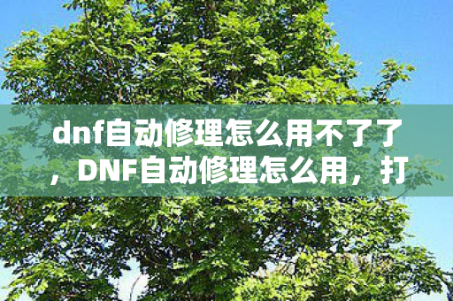 dnf自动修理怎么用不了了，DNF自动修理怎么用，打造无忧游戏环境