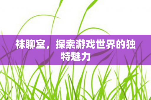 袜聊室，探索游戏世界的独特魅力