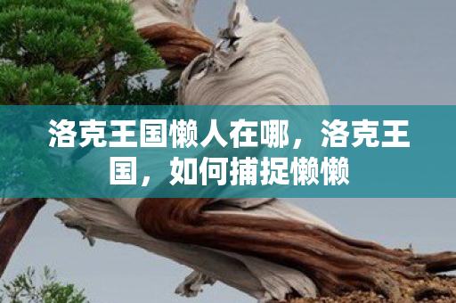 洛克王国懒人在哪，洛克王国，如何捕捉懒懒