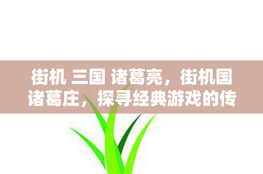 街机 三国 诸葛亮，街机国诸葛庄，探寻经典游戏的传承与创新