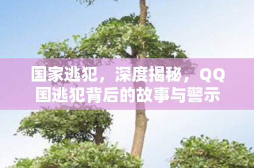 国家逃犯，深度揭秘，QQ国逃犯背后的故事与警示