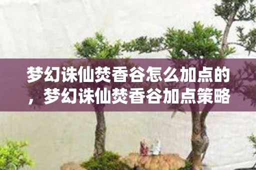 梦幻诛仙焚香谷怎么加点的，梦幻诛仙焚香谷加点策略