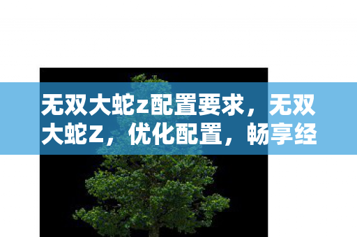 无双大蛇z配置要求，无双大蛇Z，优化配置，畅享经典战棋魅力