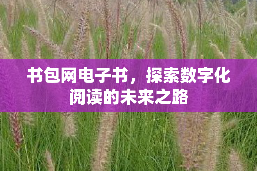 书包网电子书，探索数字化阅读的未来之路