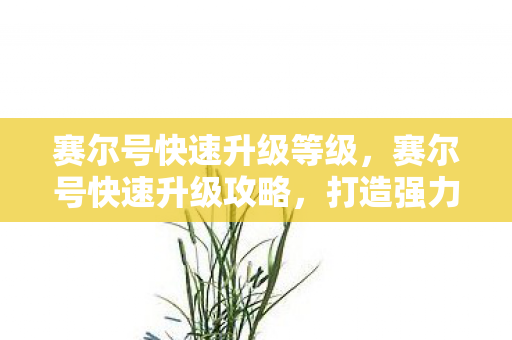 赛尔号快速升级等级，赛尔号快速升级攻略，打造强力精灵的秘诀