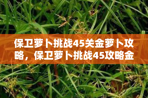 保卫萝卜挑战45关金萝卜攻略，保卫萝卜挑战45攻略金萝卜布阵图