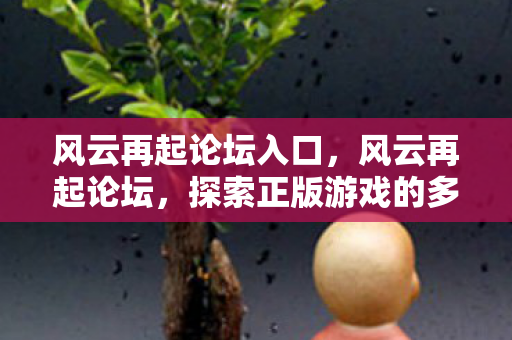 风云再起论坛入口，风云再起论坛，探索正版游戏的多元体验与社区互动