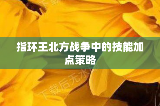 指环王北方战争中的技能加点策略