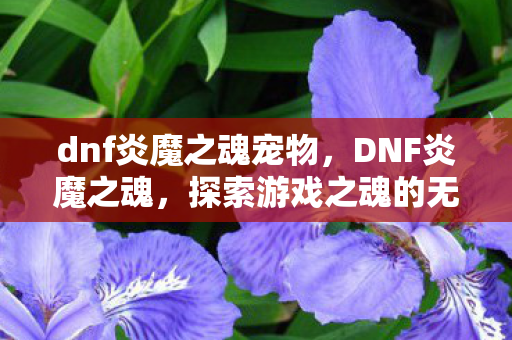 dnf炎魔之魂宠物，DNF炎魔之魂，探索游戏之魂的无限可能